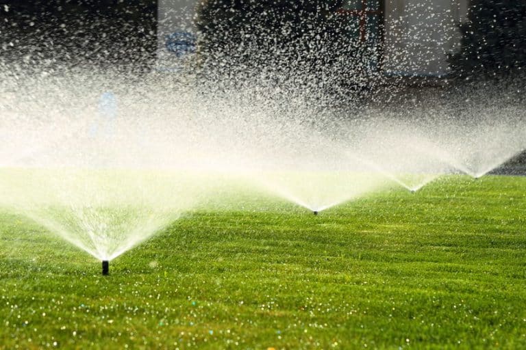 Comment optimiser l’arrosage de votre jardin à La Rochelle 